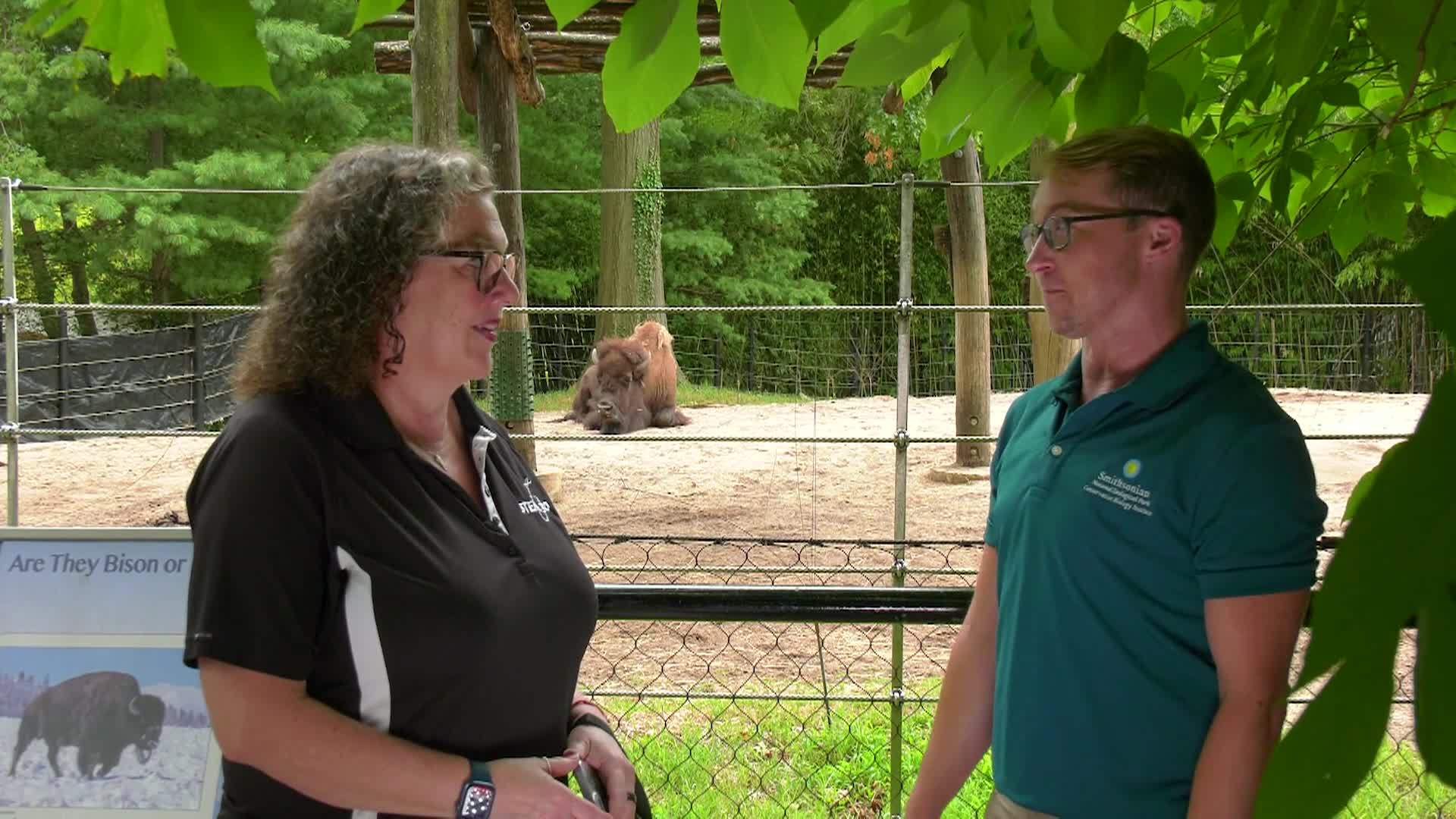 STEM in 30 - Animals Aloft Animals and the Aerospace Industry