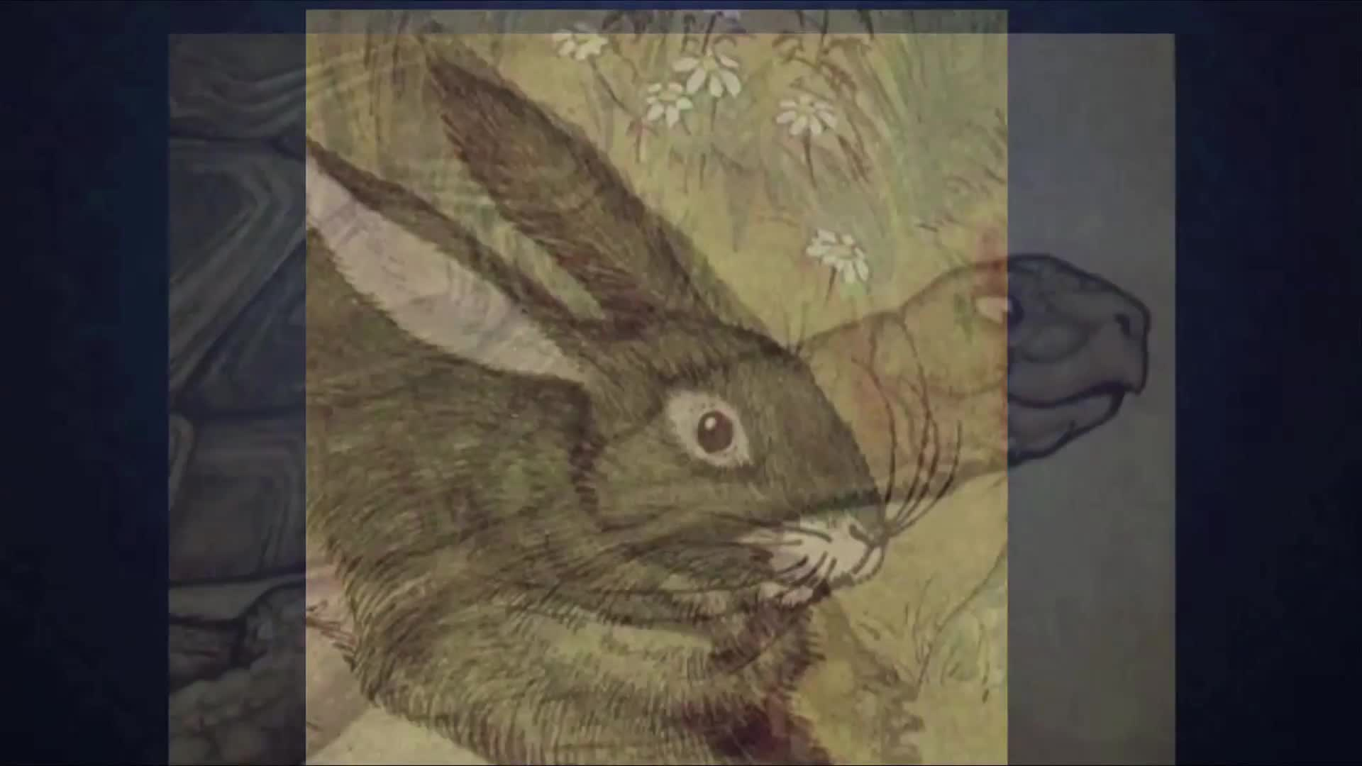 Library Storytime The Tortoise and the Hare (an Aesop fable)