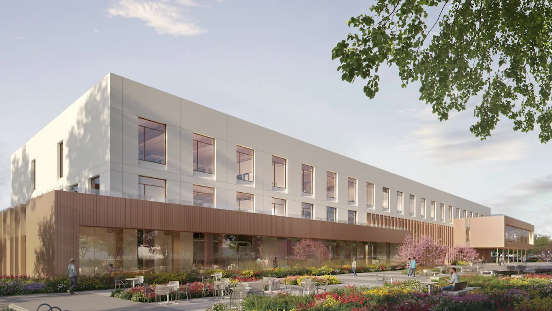 Thumbnail image for Sheep at Work: East County Service Center